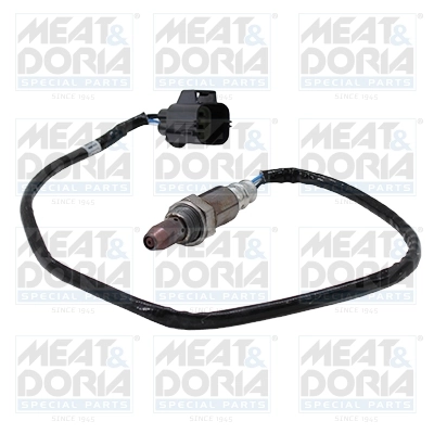 Oxygen Sensor